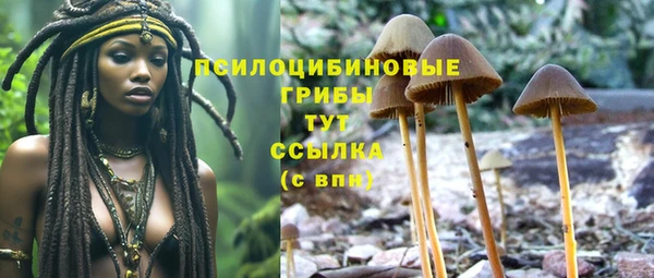 крисы Абдулино